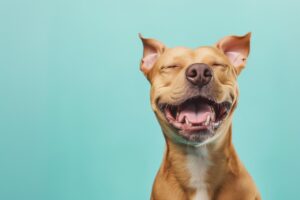 Máte specifická přání?